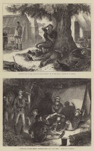 australske guldgravninger